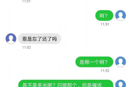 讨债不还法院判多久执行？揭秘债务执行流程及期限